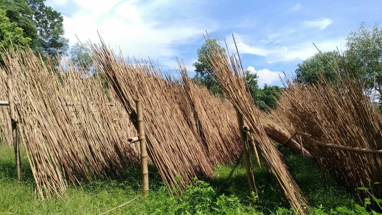 Bamboo straws are sustainable