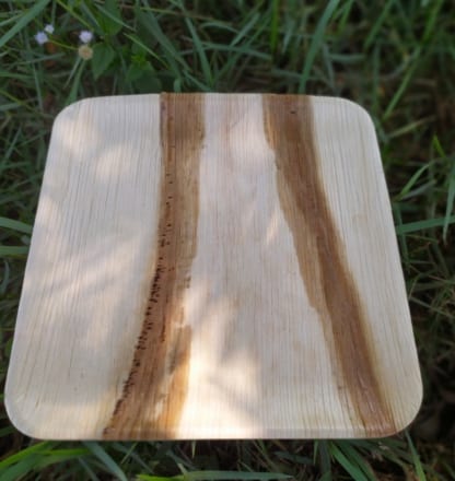 Disposable Dinnerware, Compostable and Biodegradable Palm Leaf Plates (13.7" x 13.7" Square Plates)