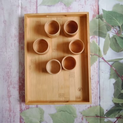 Bamboo wooden rectangular serving tray