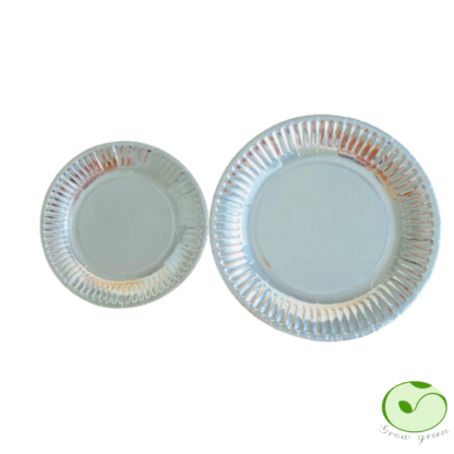 Disposable silver plates